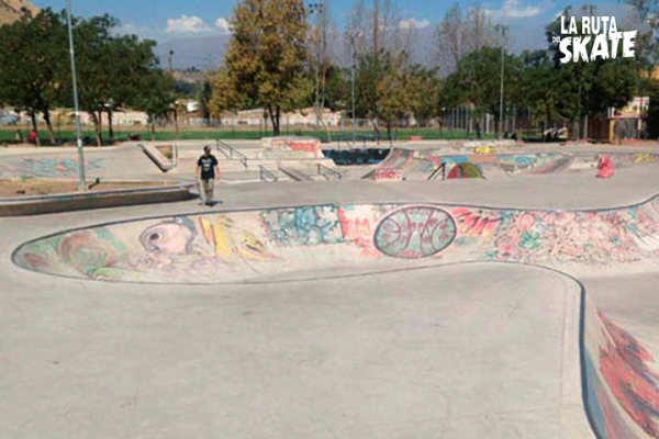 pincoya-chile-skate-larutadelskate-app-2