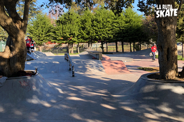 pucon-skatepark-larutadelskate-6